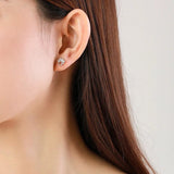 Brincos de Pata em Prata com Zircónias