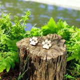 Brincos de Patas em Aço Inoxidável Hipoalergénicos